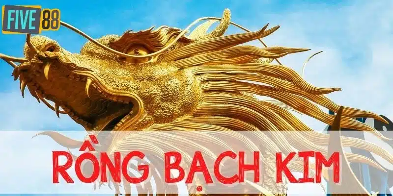 Giới thiệu về lô đề rồng bạch kim 666